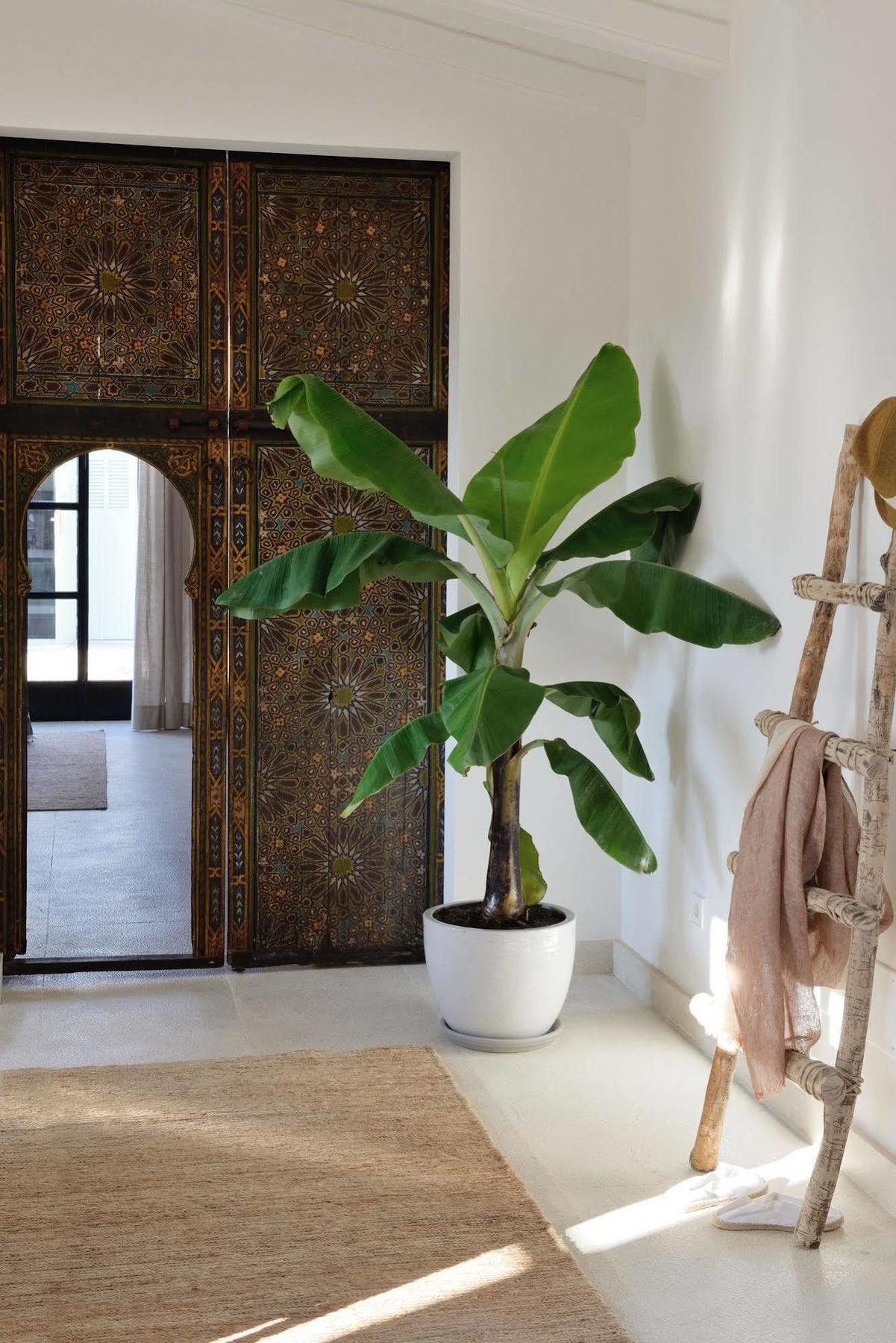 桑坦伊 Cal Reiet Holistic Retreat酒店 外观 照片